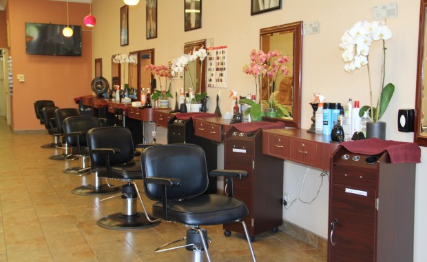 SEO for Beauty Salons In San Jose