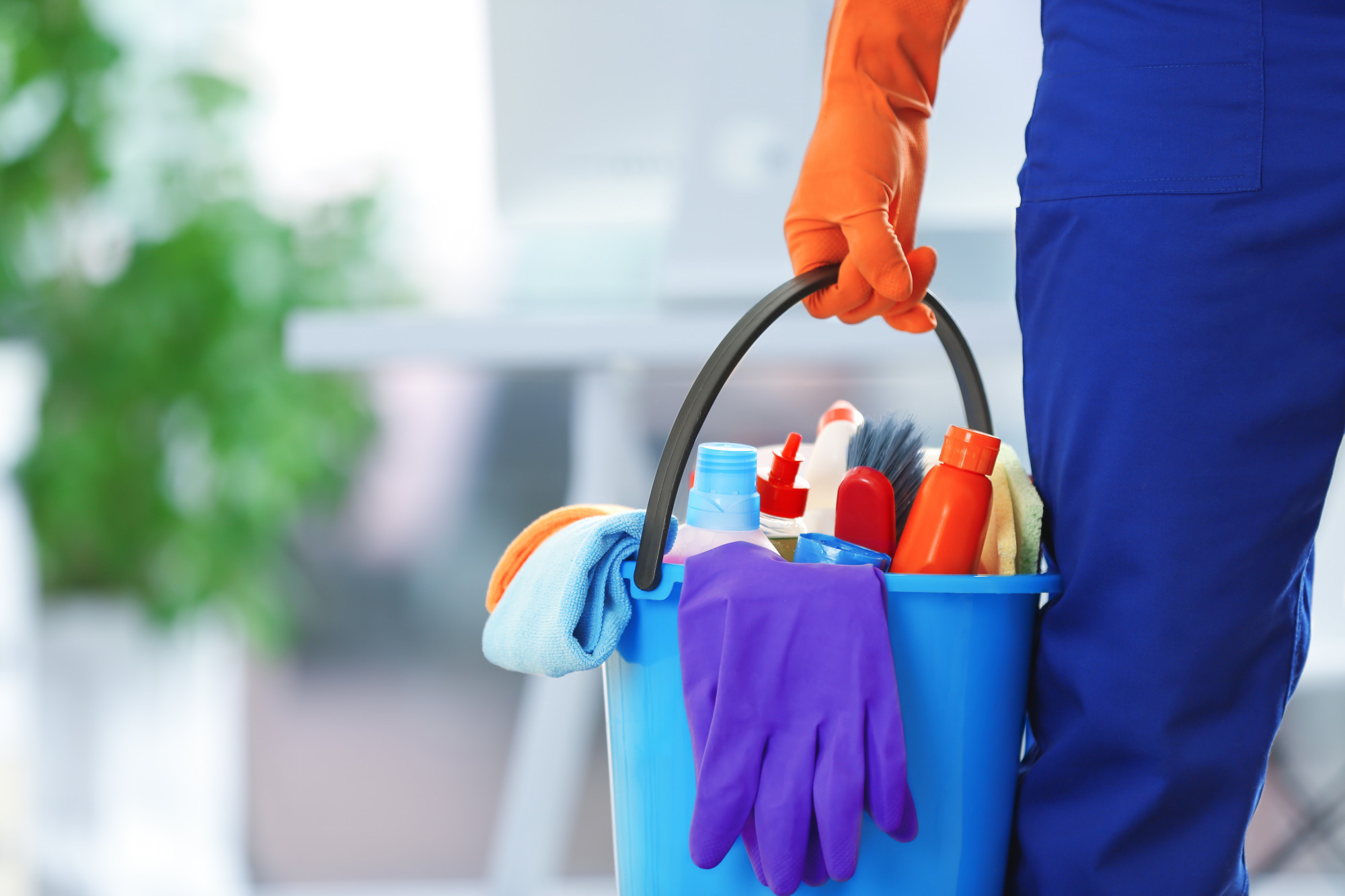 SEO For Cleaning Services In Miami