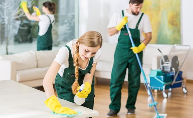 SEO for Cleaning Services in Raleigh