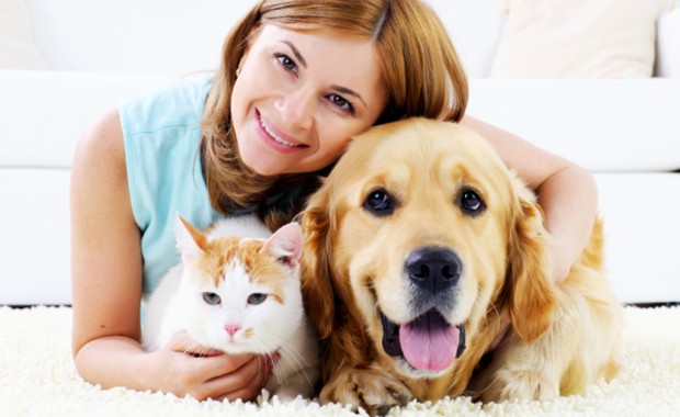 SEO for Pet Services In Sacramento