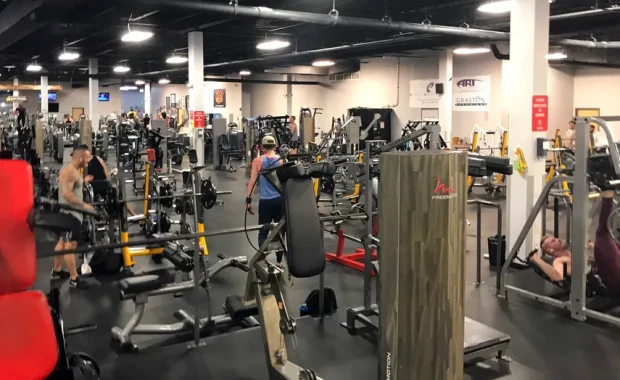 SEO For Gyms in Tampa