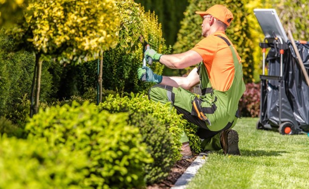 SEO for Landscaping Services in Houston