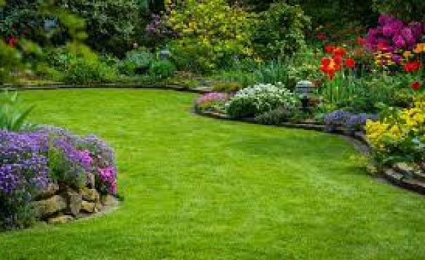 SEO For Landscaping Services In Arlington