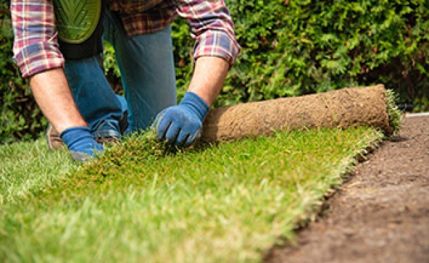 SEO for Landscaping Services in Anchorage