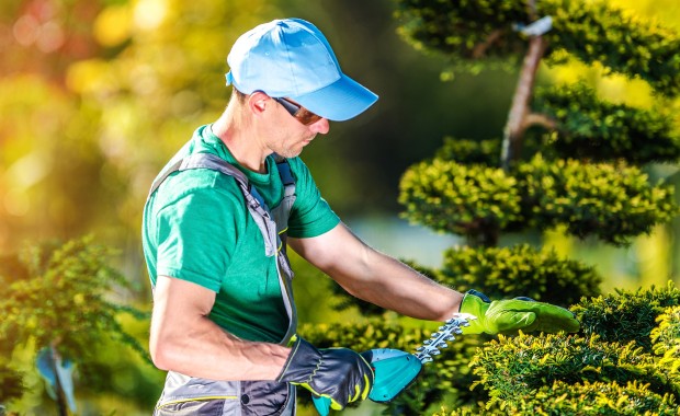 SEO For Landscaping Services In Lexington