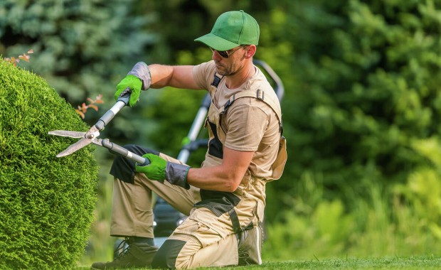 SEO For Landscaping Services In Grand Rapids