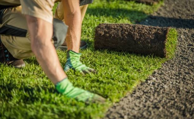 SEO For Landscaping Services In Baltimore