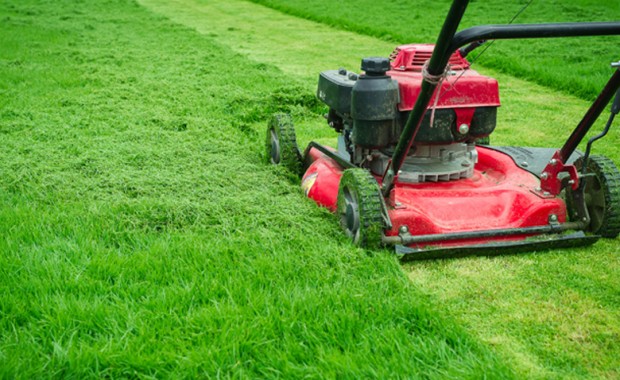 SEO For Landscaping Services in Providence