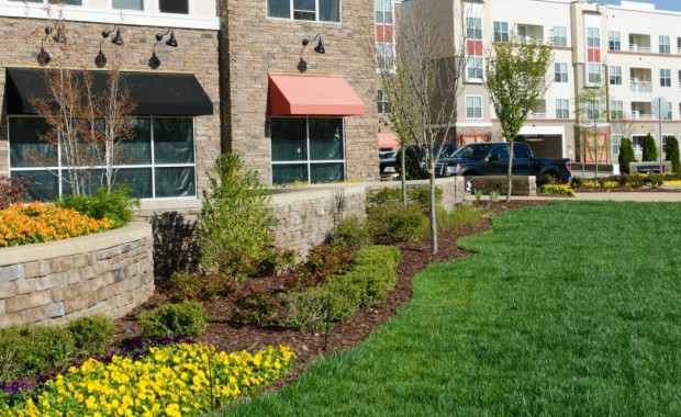 SEO for Landscaping Services In San Jose