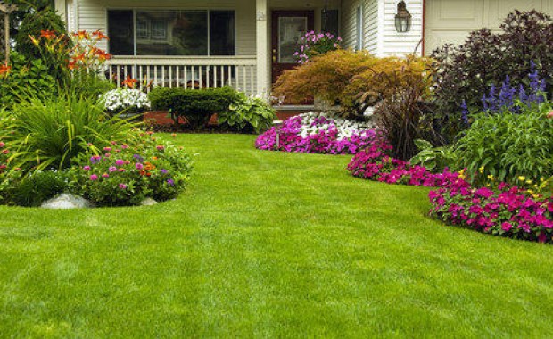 SEO For Landscaping Services in Tampa