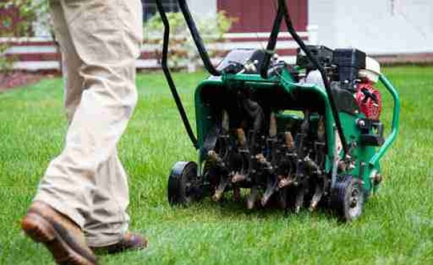 SEO For Landscaping Services in Toledo