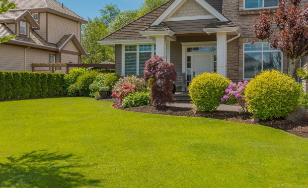 SEO for Landscaping services in Washington