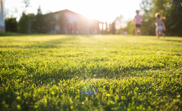 SEO for Landscaping Services in Chattanooga