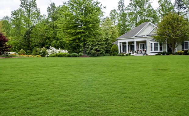 SEO for Landscaping Services in San Antonio