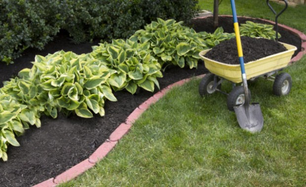 SEO for Landscaping Services in Seattle