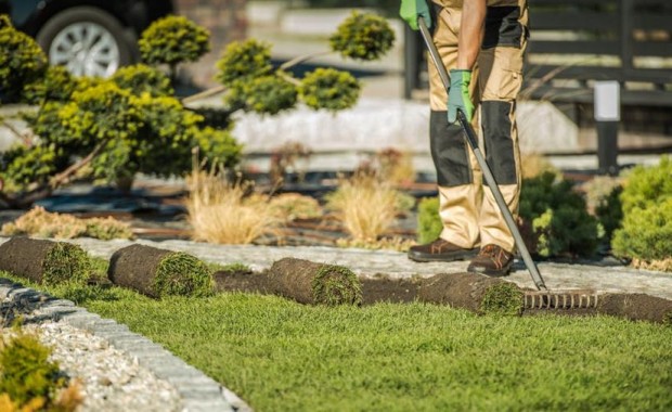 SEO for Landscaping Services in Louisville