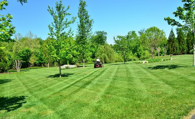 SEO for Landscaping Services in Knoxville