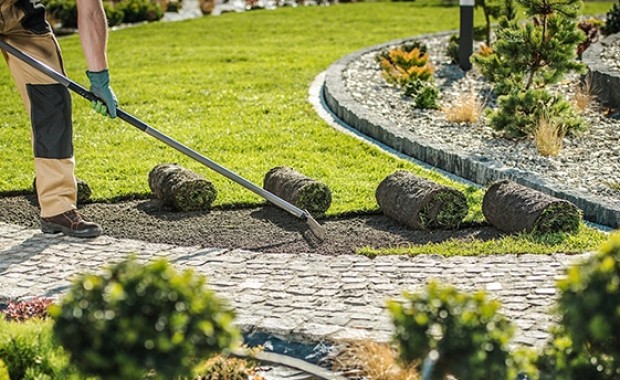 SEO for Landscaping Services in Virginia Beach