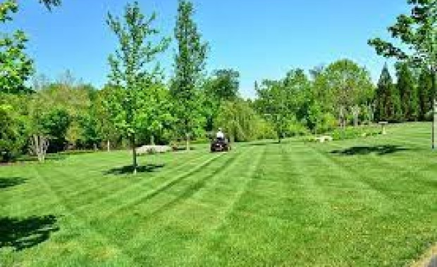 SEO for Landscaping Services in Newark