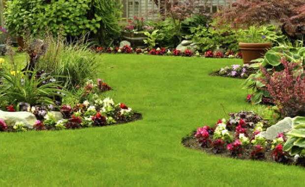 SEO for Landscaping Services in Long Beach