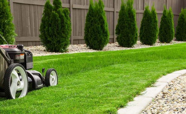 SEO for Lawn Care Services in San Francisco