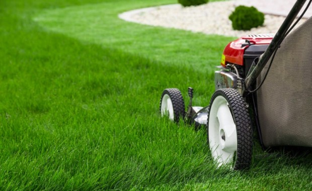 SEO For Lawn Care Services In Anaheim