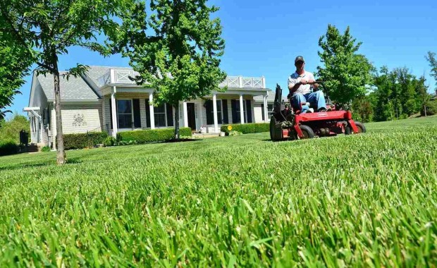 SEO for Lawn Care Services In Birmingham