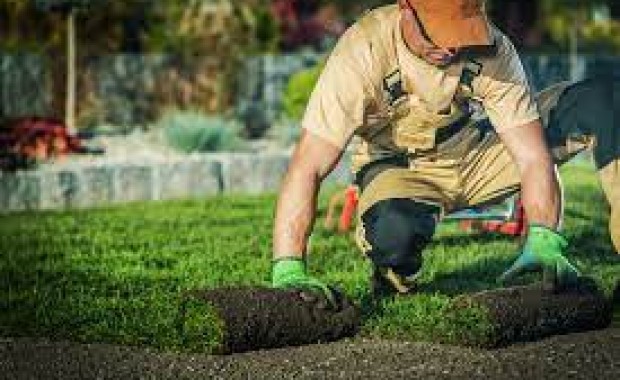 SEO For Lawn Care Services In Jacksonville