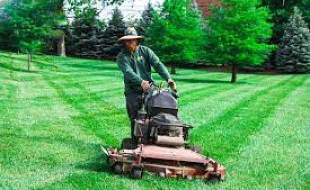 SEO For Lawn Care Services In Grand Rapids