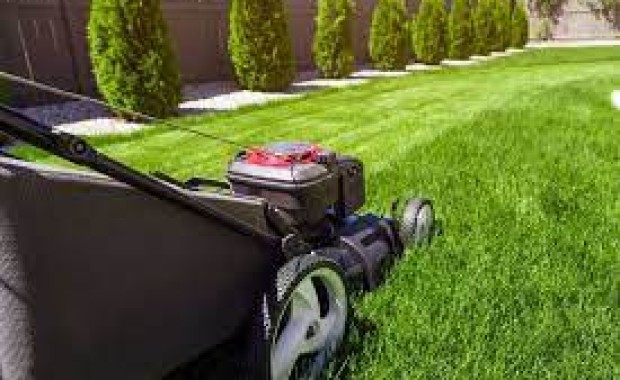 SEO for Lawn care services in Las Vegas