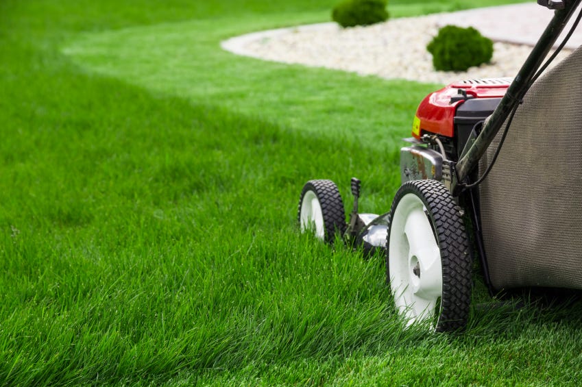SEO For Landscaping Services In Miami