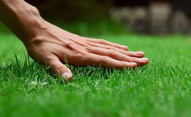 SEO Services for Lawn Care Services in Miami