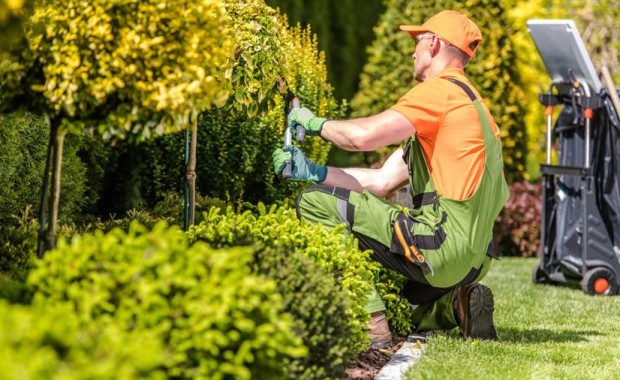 SEO for Lawn Care Services in Tulsa