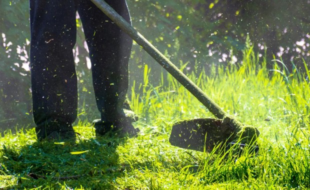 SEO for Lawn Care Services in Santa Ana