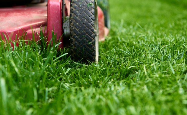 SEO For Lawn Care Services in Tampa