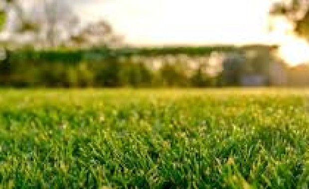 SEO for Lawn Care Services in Baton Rouge