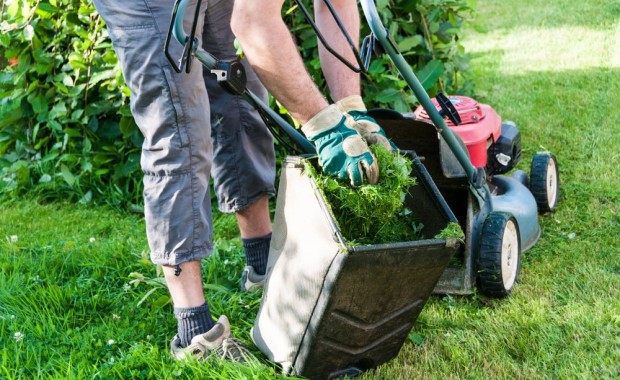 SEO for Lawn Care Services in Louisville