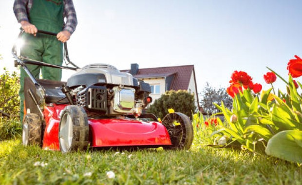 SEO for Lawn Care Services in Knoxville