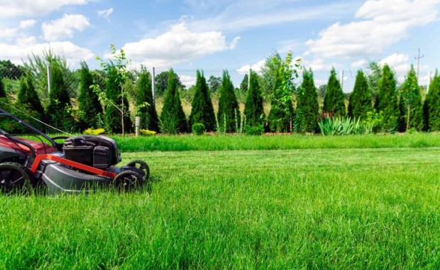 SEO for Lawn Care Services in Atlanta