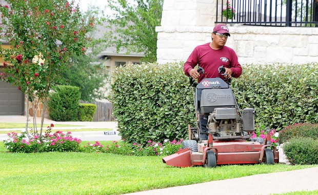 SEO For Lawn Care Services In Arlington