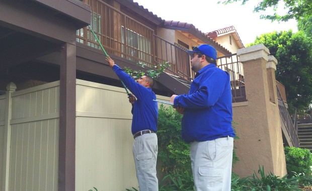 SEO For Pest Control Services In Riverside