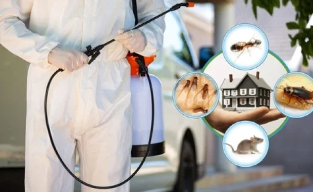 SEO for Pest control services in Las Vegas