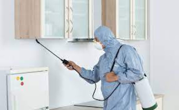 SEO For Pest Control Services In Aurora