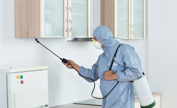 SEO For Pest Control Services In Miami