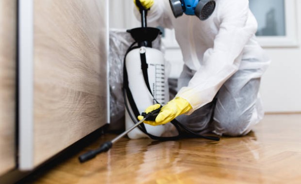 SEO for Pest Control Services in Nashville