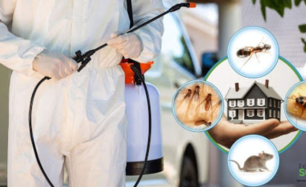 SEO For Pest Control Services In Baltimore