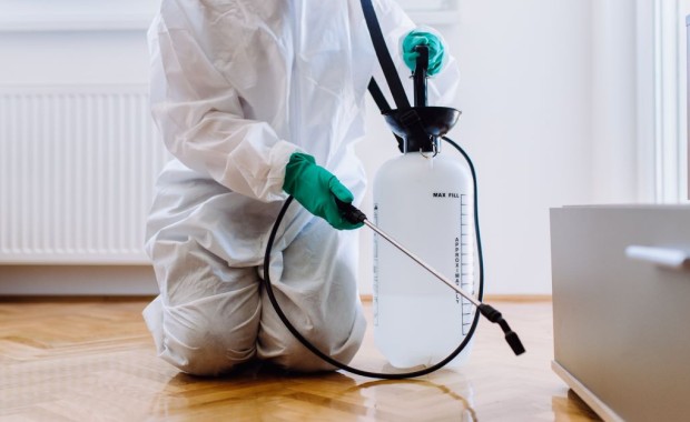 SEO for Pest control services in Dallas