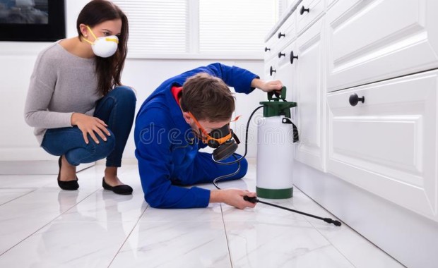 SEO for Pest Control Services in Tempe