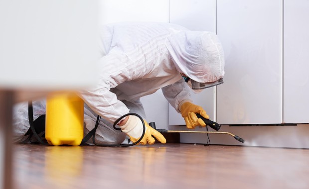 SEO for Pest Control Services in Virginia Beach