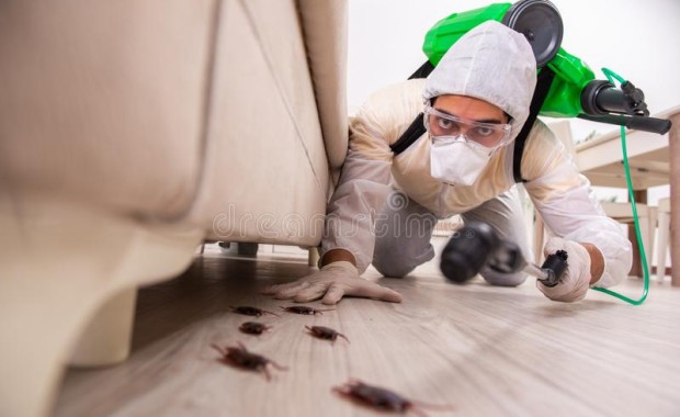 SEO for Pest Control Services in Newark